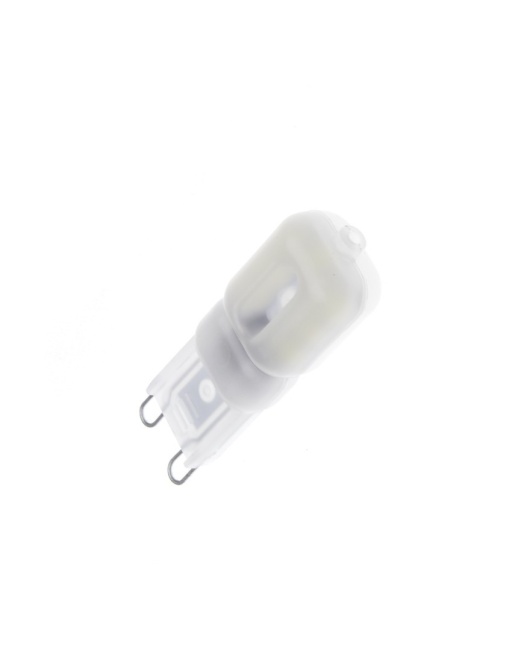 Ampoule LED G9 2,5W 200 LM