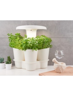 CALLA Garden LED Pack