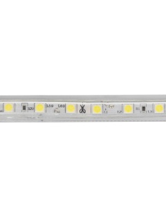 Bobine LED Dimmable 220V AC 60LED/m IP65 Blanc Froid 50m Largeur 14mm Coupe tous les 100cm