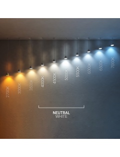 Applique Murale LED Extérieure Zeus 6W Éclairage Double Face Carrée Noire