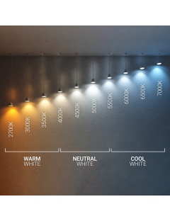 Contrôleur WiFi avec Télécommande pour Ventilateur de Plafond DC et Lumière LED 3CCT à 220V 2 fils