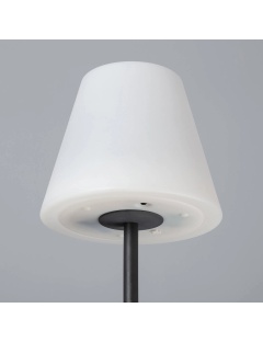 Lampadaire LED Extérieur Solaire Métal Larso